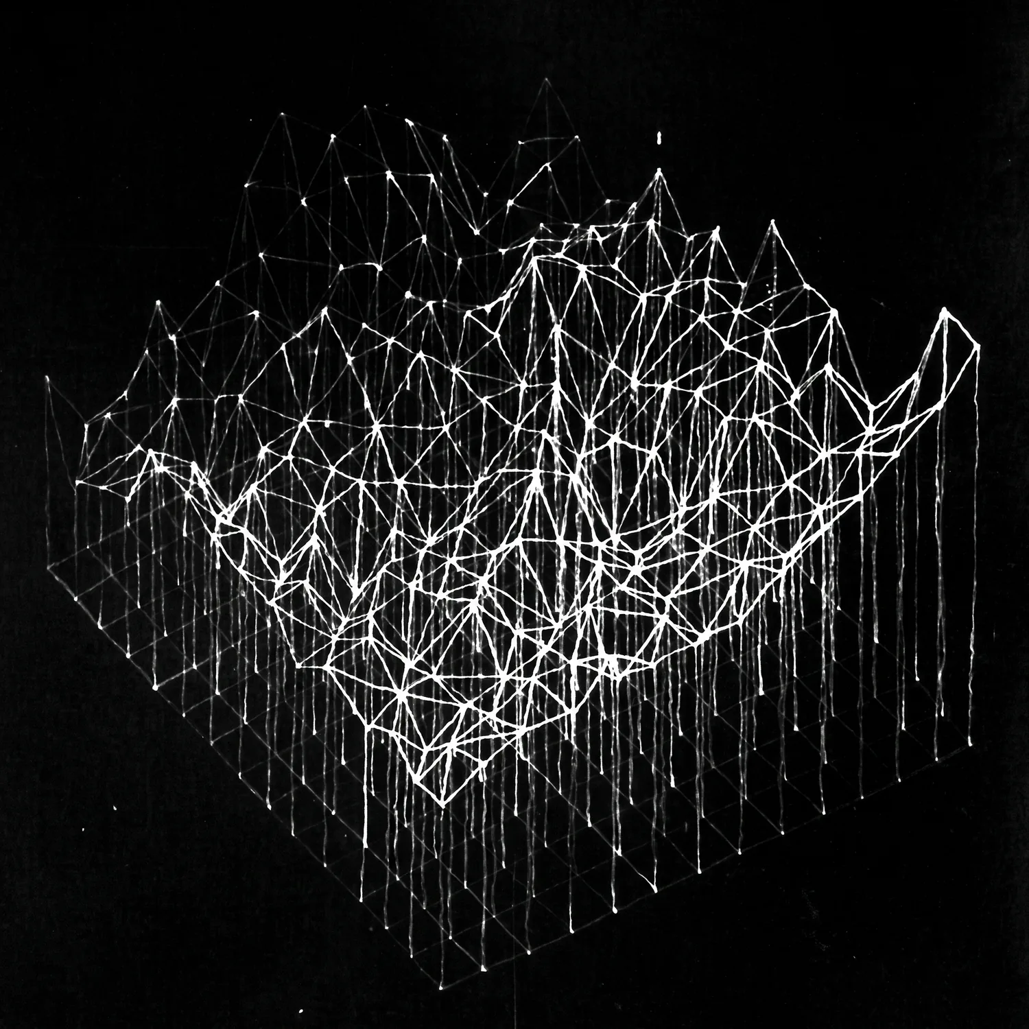 Wireframe terrain mesh
